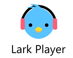 Lark Player offline music player 