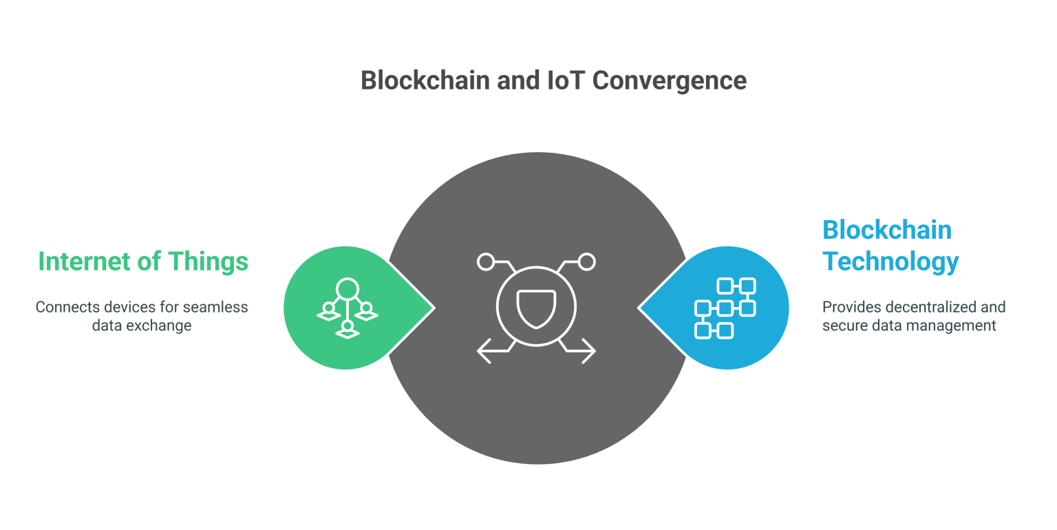 Best Blockchain Development Trends to watch in 2025 - BitsWits
